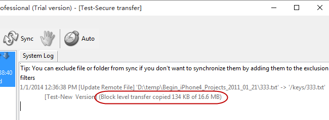 Block-level sync log